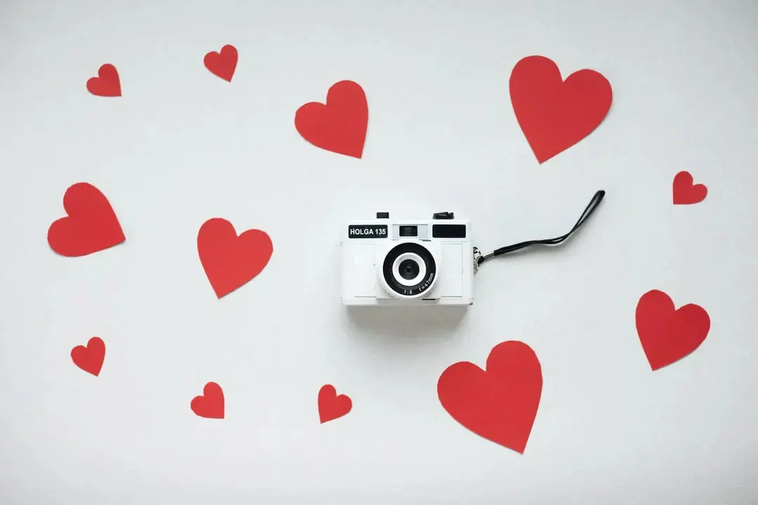Photo of a camera on a bed of hearts